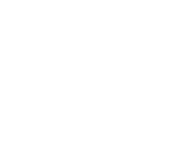 Council Member Nantasha Williams, District 27